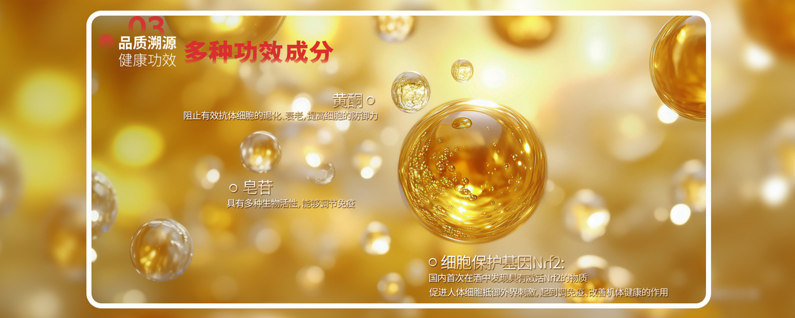 6核心賣點(diǎn)1.jpg